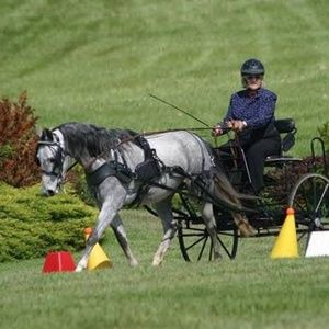 Meet your Posher, Eleanor